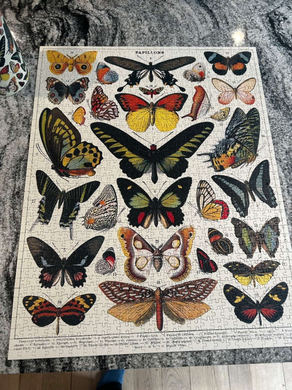 CAVALLINI & CO. 1000 PIECES VINTAGE PUZZLE BUTTERFLIES